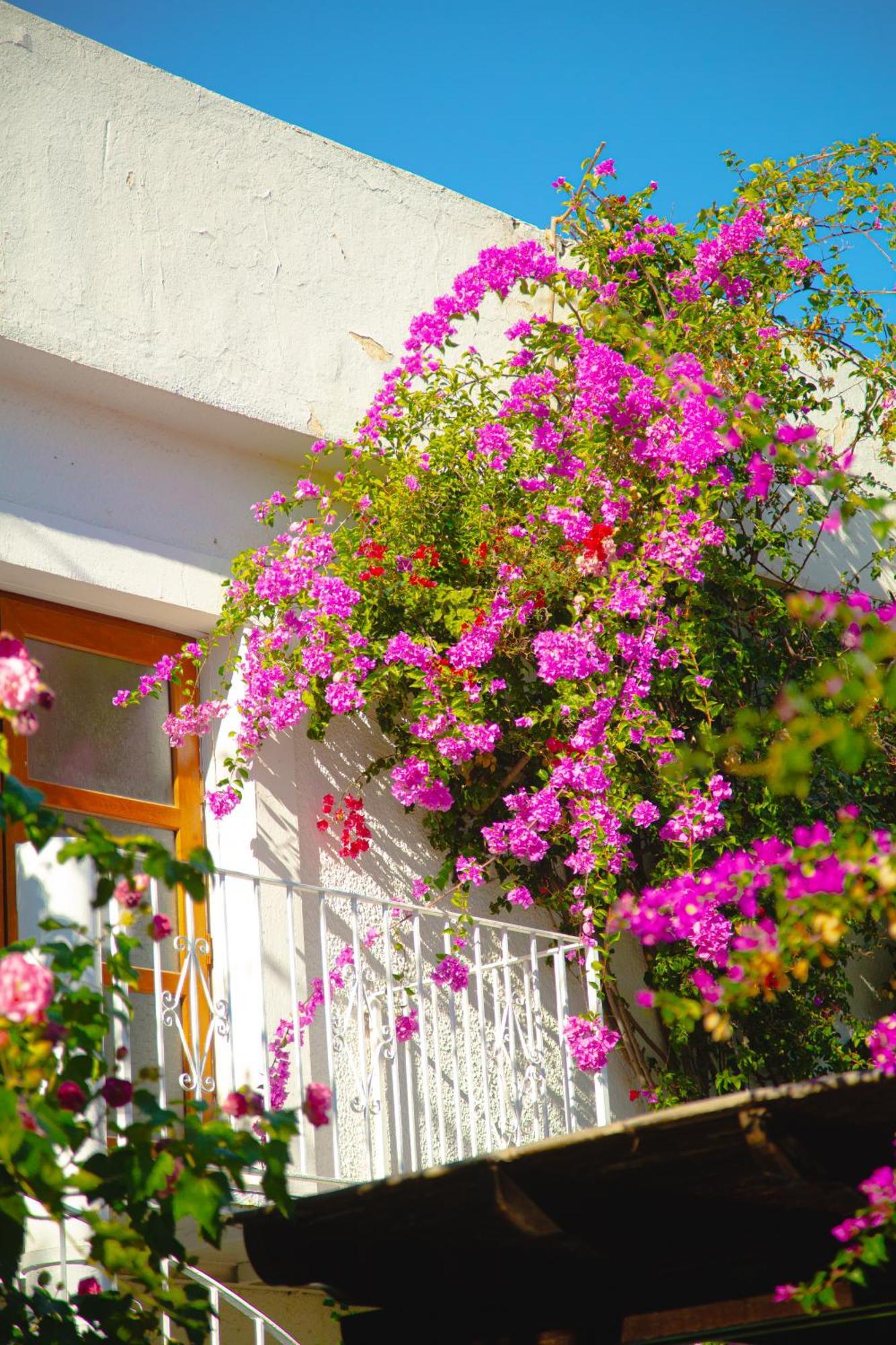 Hotel Karia Princess 4*